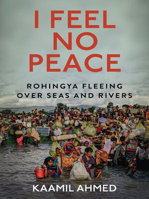 cover image of I Feel No Peace